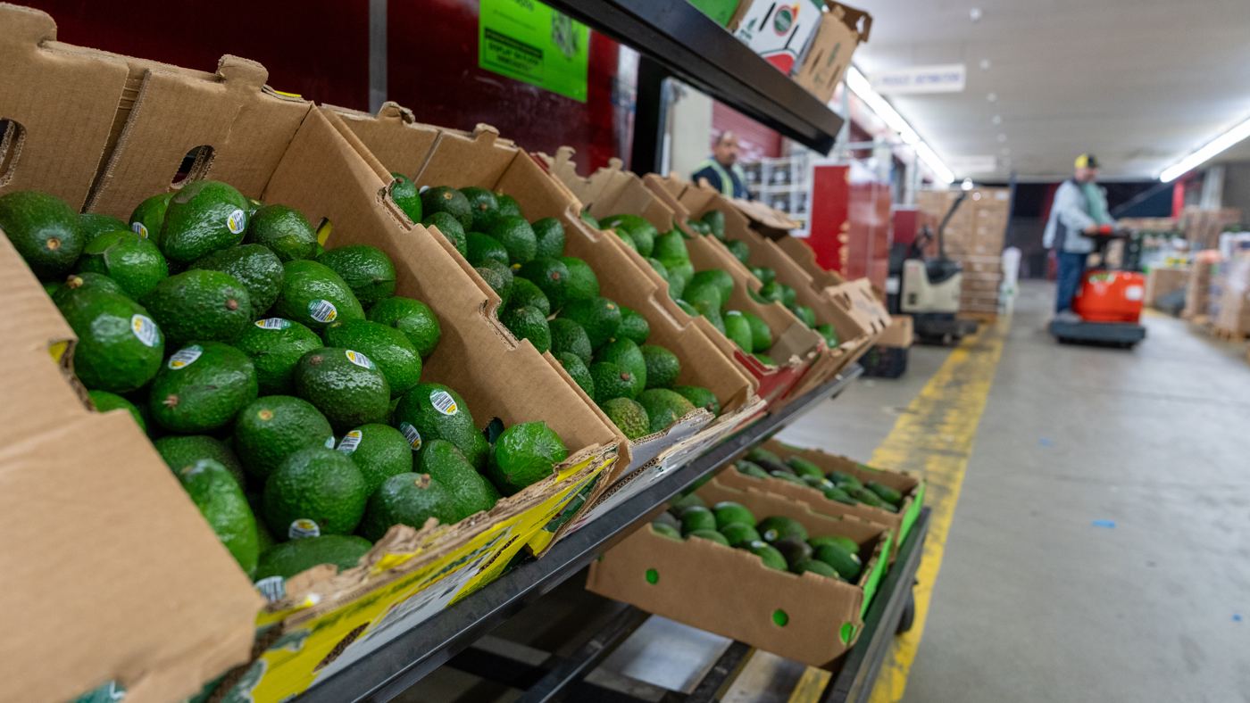 Boxes of avocados stacked along an aisle of a wholesale produce market, a forklift in the background