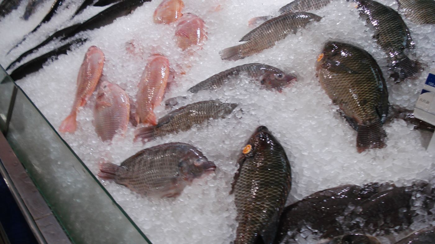 Whole fish laid out on crushed ice at a seafood counter