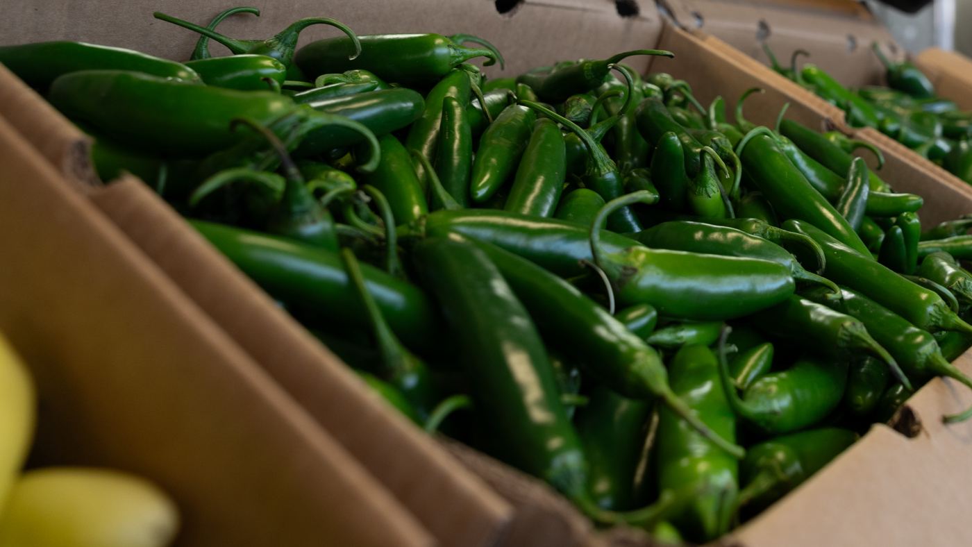 A case of fresh jalapeño peppers on a market stand