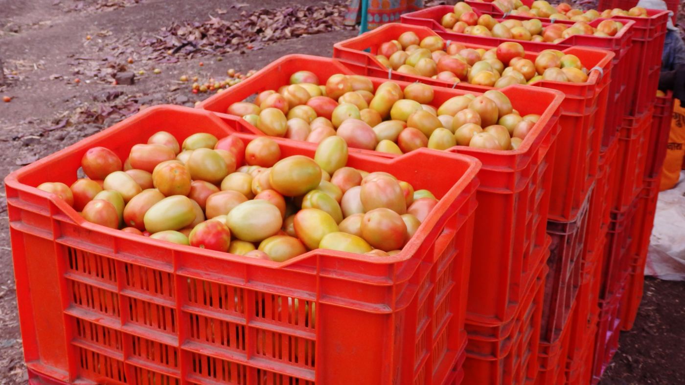 Red crates of ripe tomatoes stacked at a market