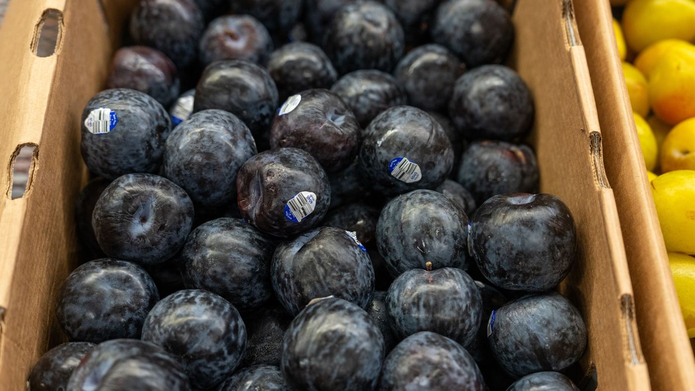 A flat of plums in a cardboard tray