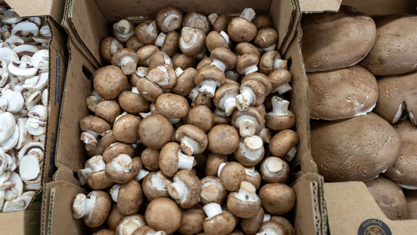 Boxes of white, cremini and portobello mushrooms